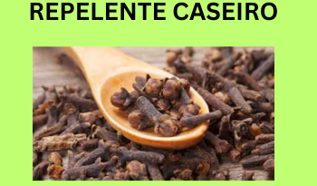 repelente caseiro