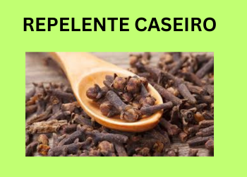 repelente caseiro